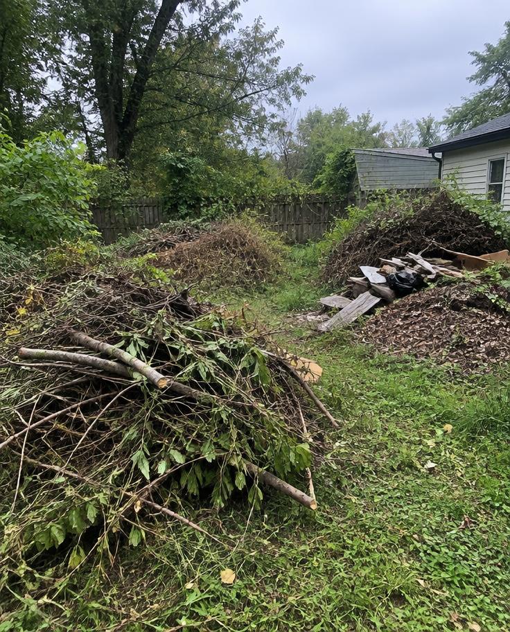 Yard buried under piles of branches and debris before cleanup
